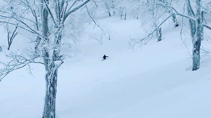 三星マナミのインスタグラム：「❄︎ ❄︎ スキー板のコアな話🤫  私の身長は167cm  最近はBCに足を運ぶことも増えてきたけど 子どもと一緒に山に行く事が多いので、板はこんな事を優先して選んでます🤗  ✔︎とにかく重量軽く❄️ ✔︎小回りが効く⛷ ✔︎深雪・悪雪に強くフルシーズンで使いやすい💪  そこでchoiceしたのはコチラ💁‍♀️  @armadajapan  #trace108 #172cm  動画前半の様に 緩めの斜面と深すぎるくらいの雪ではスピードを思った様に上げれず『もっと…』とじれったくなる気持ちもあるけど  動画後半の小刻み出来る軽快さ、取り回しの軽さ＝自由度はオールシーズン最大活躍する信頼の相棒💙🤍💙🤍  @mtdocknozawa  で試乗レンタルできます🤗  また @compasshouse にて ゲストの皆様のご要望、ご希望に合わせてご相談承ります🤗  *:.＊.:*:｡∞｡:*:.＊.:*:｡∞｡:*:.＊.:*  @roxyjapan #goretex  @oakleyjapan #falllinexm  @gosnowresort   #2月 #ウィンターシーズン #自然と繋がる #外遊び  #外遊びが大好き #ski #スキー #スキー女子 #アンバサダー #すきー #長野 #野沢温泉 #野沢温泉スキー場 #オリンピアン #ママアスリート #ママ #三児のママ #上野眞奈美 #信州スノーリゾートアンバサダー #信州スノーリゾート #コンパスハウス #roxy #roxyjapan #roxysnow #oakley #oakleyjapan」