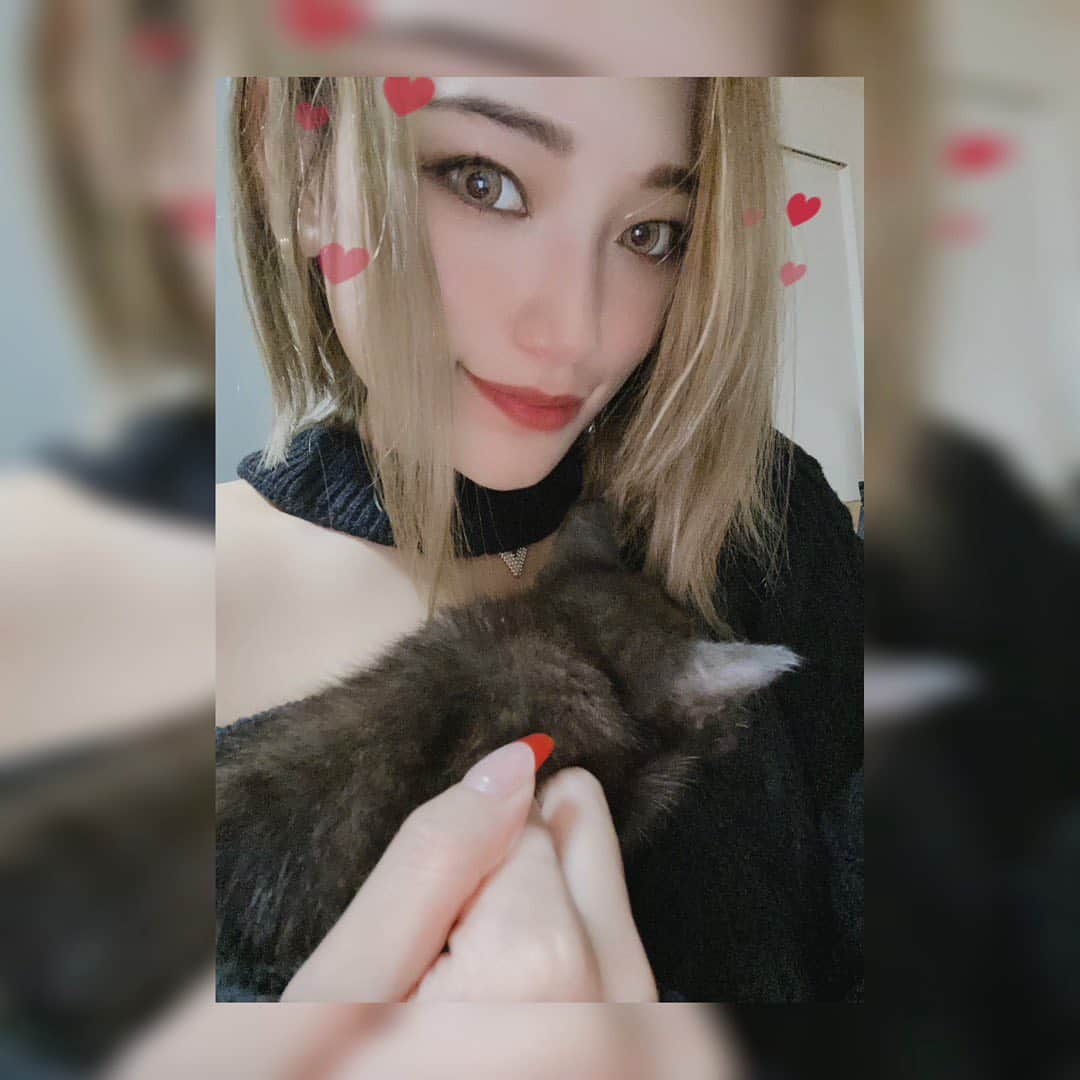 もえしゃんのインスタグラム：「たまにはプライベートなことを🌟 にゃんにゃん🐈‍⬛を保護して家族になりました🥰  もうすぐ2ヶ月になる女の子😻 シジミちゃんです🐈‍⬛ 恥ずかしがり屋で絶対にカメラ目線してくれないの。←  練習行きたくても顔の上で寝られたり腕にしがみつかれて大変。（笑） でも絶賛親バカなのでにゃんすたグラムになりそう、、  #ねこすたぐらむ #にゃんすたぐらむ #保護猫 #シジミグラム #ゴルフ　#ごるふ#ごるふばか  #ごるふ女子 #ゴルフ女子 #ゴルフ男子 #ゴルファー#ラウンド #ゴルフ2年目#GOLF #ティーショット#ゴルフウェア #スイング改善 #ゴルフ好きと繋がりたい  #ゴルフ上達し隊 #EPIC #EPICFORGED #callaway #ll #ff #instagolf #golfgram」