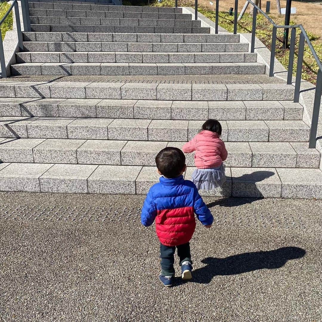 美夢ひまりさんのインスタグラム写真 - (美夢ひまりInstagram)「ひたすら登り降り✊﻿ ﻿ 今日で1歳10ヶ月か。。﻿ 早いな…もうすぐ2歳だ…😳﻿ ﻿ #二卵性双生児男女」2月19日 12時07分 - himari_miyume
