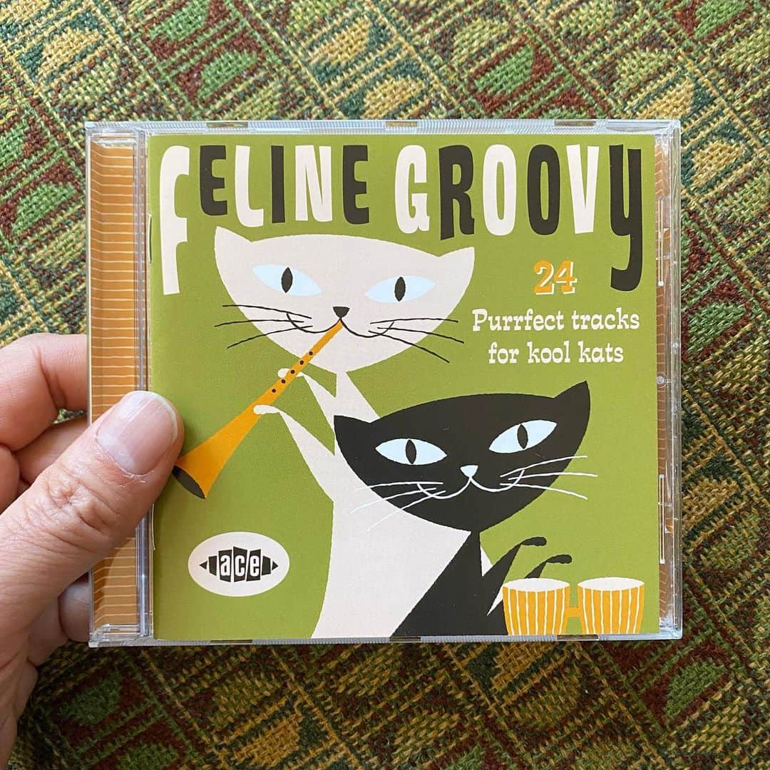 山田稔明さんのインスタグラム写真 - (山田稔明Instagram)「猫にまつわる1950-60年代のロック、ポップス、R&B、ジャズ、フォークの楽曲を24集めたコンピレーション。S&G「FEELIN' GROOVY」に引っかけたタイトルも最高なやつ。猫月間のBGMに。 #朝一番に聴くレコード #猫ジャケ」2月19日 12時22分 - toshiakiyamada