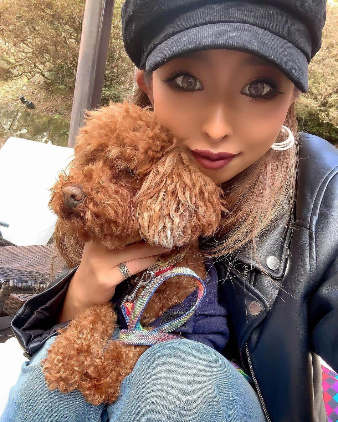 まあーか（まかたん）のインスタグラム：「. 🐶の毛もグラデでぎゃるい🌺 .  #わんこのいる生活#タイニープードル#🐩#黒肌 #instagood #follow#ootd#セルフィー#エステ#黒ギャル #トレーニング #尻トレ #眉アートメイク #エステ#美肌ケア#美容#サロン#カラコン#バレイヤージュ#髪改善トリートメント #肌改善#ダーマペン#韓国コスメ#カフェ巡り#足湯カフェ」