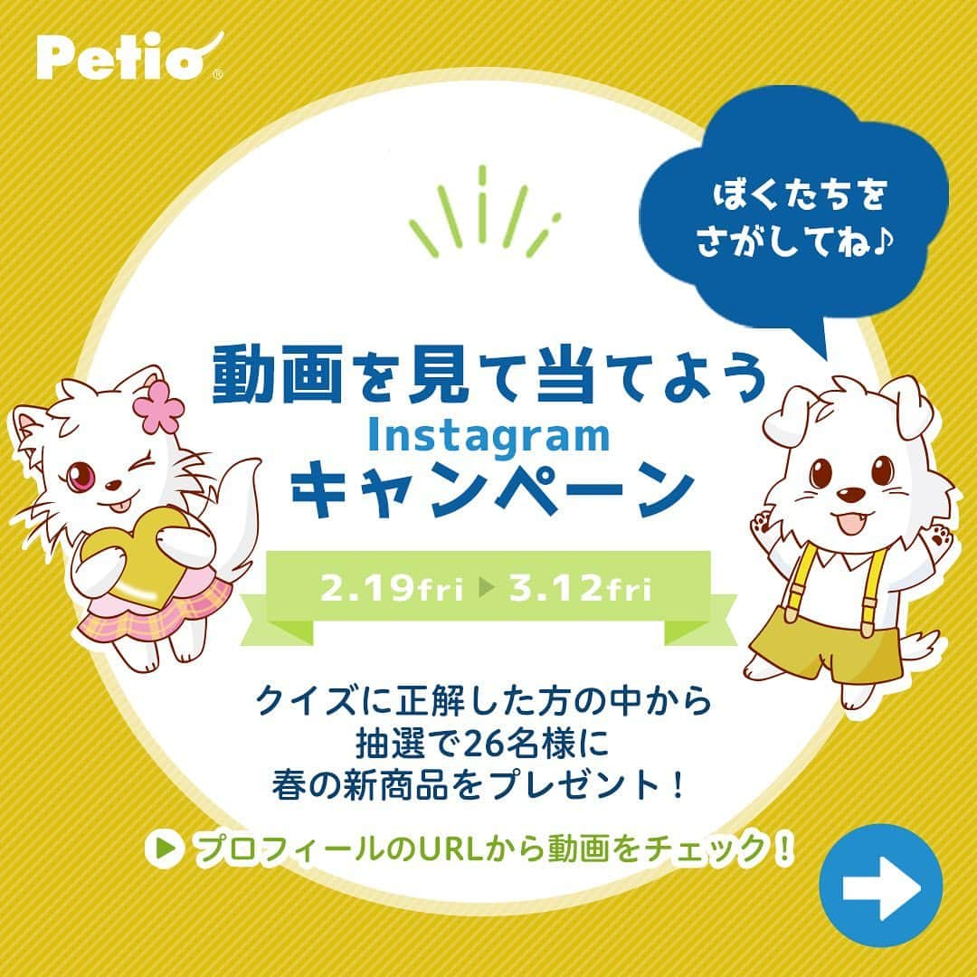 Petioのインスタグラム：「ただ今Petioでは2021年春の新商品WEB展示会を開催中🎉 展示会場内の動画▶️をチェックして 『黄色い服のペティオくん＆黄色いハートを持ったペティコちゃん』 を探してね🔍✨  ⏬動画の確認方 ①:@petio_ のプロフィールにあるリンクからweb展示会場に入る ②:展示会場のいたるところにある動画をチェックして 『黄色い服のペティオくん＆黄色いハートを持ったペティコちゃん』をみつけてる👀🔍  (※会場に入るにはユーザー登録が必要です)  ⏬回答方法 展示会場内の動画を確認して答えがわかったひとは 本投稿のコメント欄に回答を記入✍️  クイズに正解された方の中から抽選で合計26名様にPetio春の新商品をプレゼント♪  キャンペーン詳細はプロフィールのURLからチェック！ @petio_ どしどし応募してくださーい🐶🐱 フォローもお忘れなく♡  #ペティオ #新商品  #動画を見て当てよう #ふわもこ部 #フワモコ部 #わんこ #にゃんこ #今日のわんこ #今日のにゃんこ #いぬ #ねこ #犬バカ #ねこのいる暮らし #愛犬 #愛猫 #猫バカ #いぬのいる暮らし #ねこすたぐらむ #いぬすたぐらむ #今だからこそモフモフで癒しを #わんこ用 #にゃんこ用 #みんねこ #プレゼント #プレゼント企画  #プレゼント企画実施中  #プレゼント応募  #プレゼント企画応募  #プレゼント企画開催中」