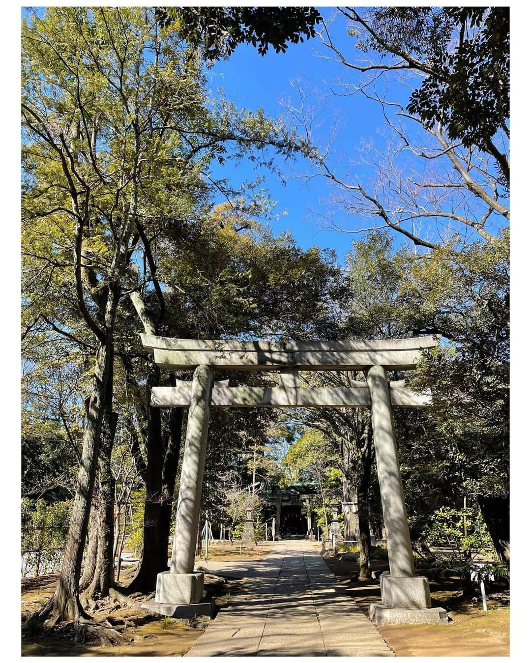 M'sブライダルさんのインスタグラム写真 - (M'sブライダルInstagram)「#神社 #神社めぐり #パワースポット神社 #パワースポット巡り #photo #最強スポット #関東最強スポット #開運 #受験 #氷川神社 #赤坂 #良縁 #縁結び #travel #旅行 #スピリチュアル #love #japan #日本 #神社仏閣 #旅行に行きたい #お参り #商売繁盛 #港区 #いいね #副業 #happy #美容 #フォローミー #誰でも」2月19日 12時42分 - msbridal_pr