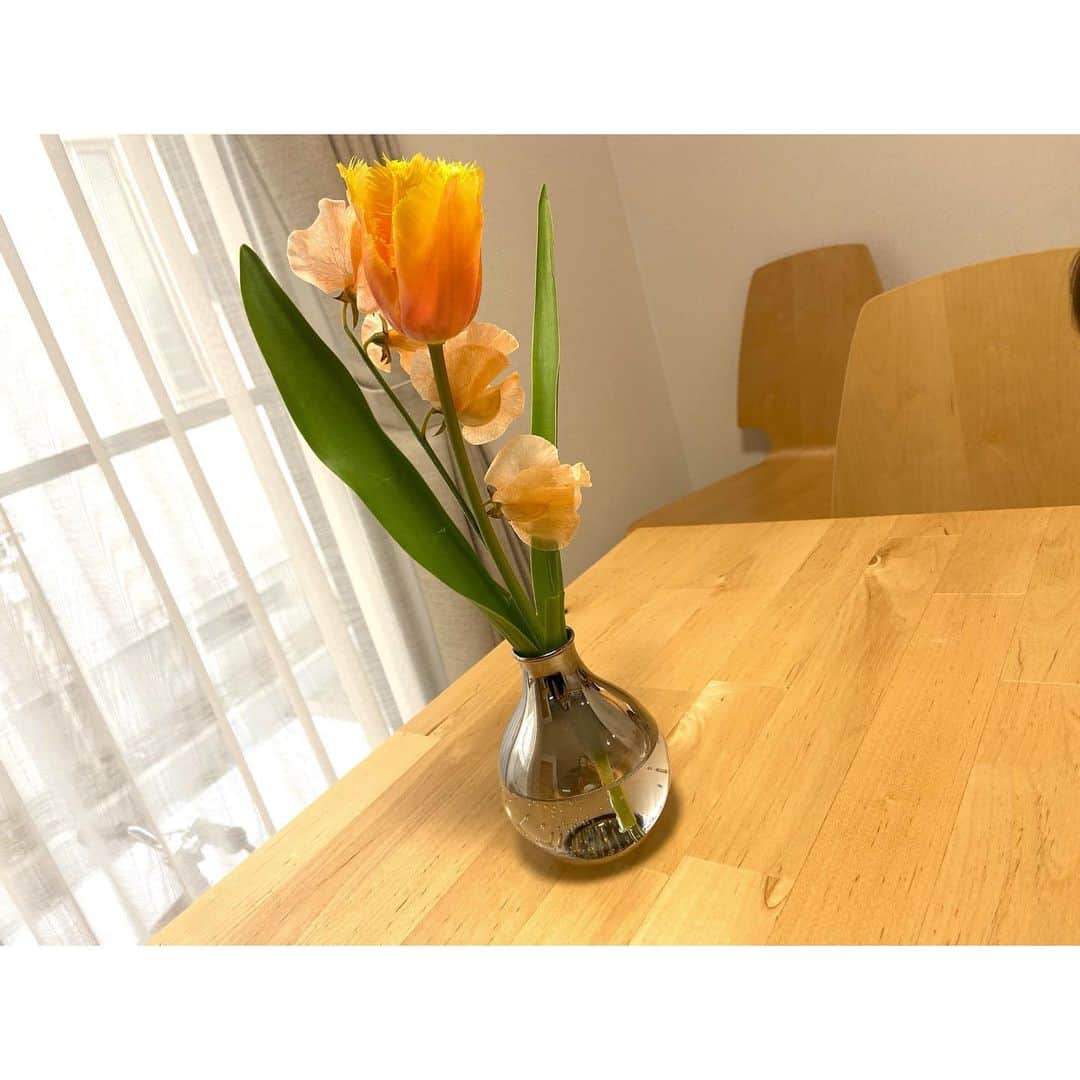 望月みささんのインスタグラム写真 - (望月みさInstagram)「先日ストーリーにて、一目惚れしてステキすぎる一輪挿しの花瓶を購入した事をアップしました❤️  友達がそれを覚えてくれていて、新しい花瓶に是非😁 ってプレゼントしてくれたの🌷  春らしい色の可愛すぎるお花になのりのと一緒に〝かわいーねー♡〟ってうっとりしてる🥺  やっぱりお花っていいね💕」2月19日 18時27分 - mochizuki.misa