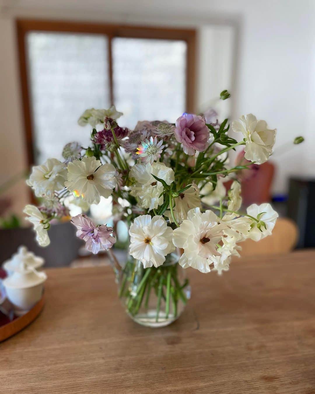 黒沢祐子さんのインスタグラム写真 - (黒沢祐子Instagram)「・ ・ 真ん中の小さいお花に虹🌈 窓際に置いてある花器に反射して写っていた  ほっこり幸せなきぶんになった午後 ・  ・ #life #鎌倉暮らし #flowers  #お花のある暮らし @yuko.lifestyle」2月19日 13時21分 - yukowedding