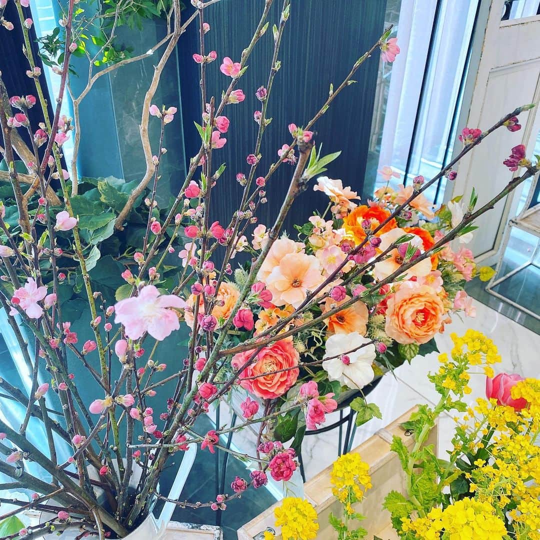 ホテルオーレ　ブロッサモーレのグルメインスタ