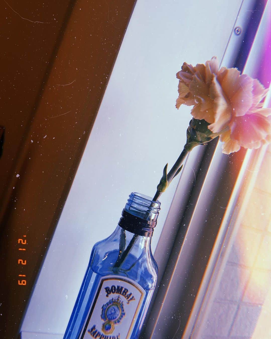 のインスタグラム：「お花可愛い。」