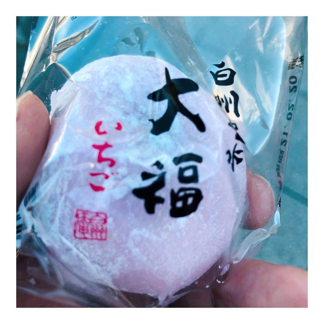 馬庭良介のインスタグラム：「Ichigo daifuku. yum.  #苺大福  #大福食べながらカッコつける #カロリーとってもいいでしょ #苺もとっていいでしょ」