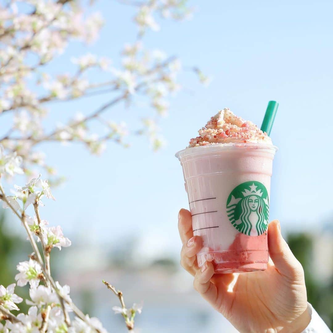 スターバックス JPさんのインスタグラム写真 - (スターバックス JPInstagram)「💗 ドリンク片手に空を見上げて、春の訪れを感じてみませんか🌸  さくらのフレーバーに、ストロベリーとラズベリーをミックスした #さくらふわりベリーフラペチーノ は、もうお楽しみいただけましたか🌸😋 ホイップには、ふわりと舞う桜のような、やさしい食感のスポンジクラムをトッピングしています🥰  #スターバックス #スターバックスSAKURA #🌸」2月19日 14時18分 - starbucks_j