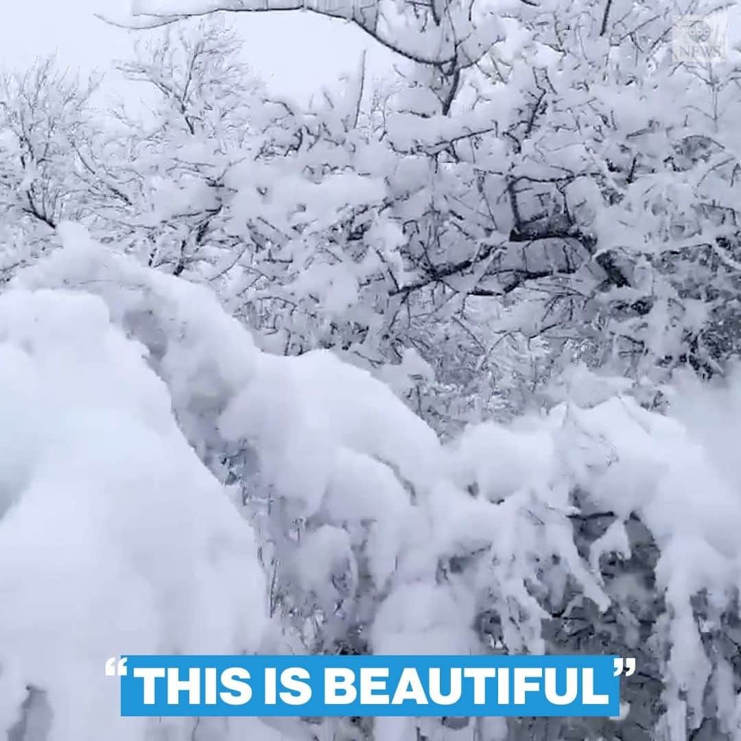 のインスタグラム：「“THIS IS BEAUTIFUL”: Record snowfall transforms Del Rio, Texas, into a winter wonderland, with accumulation reaching over 11 inches.」