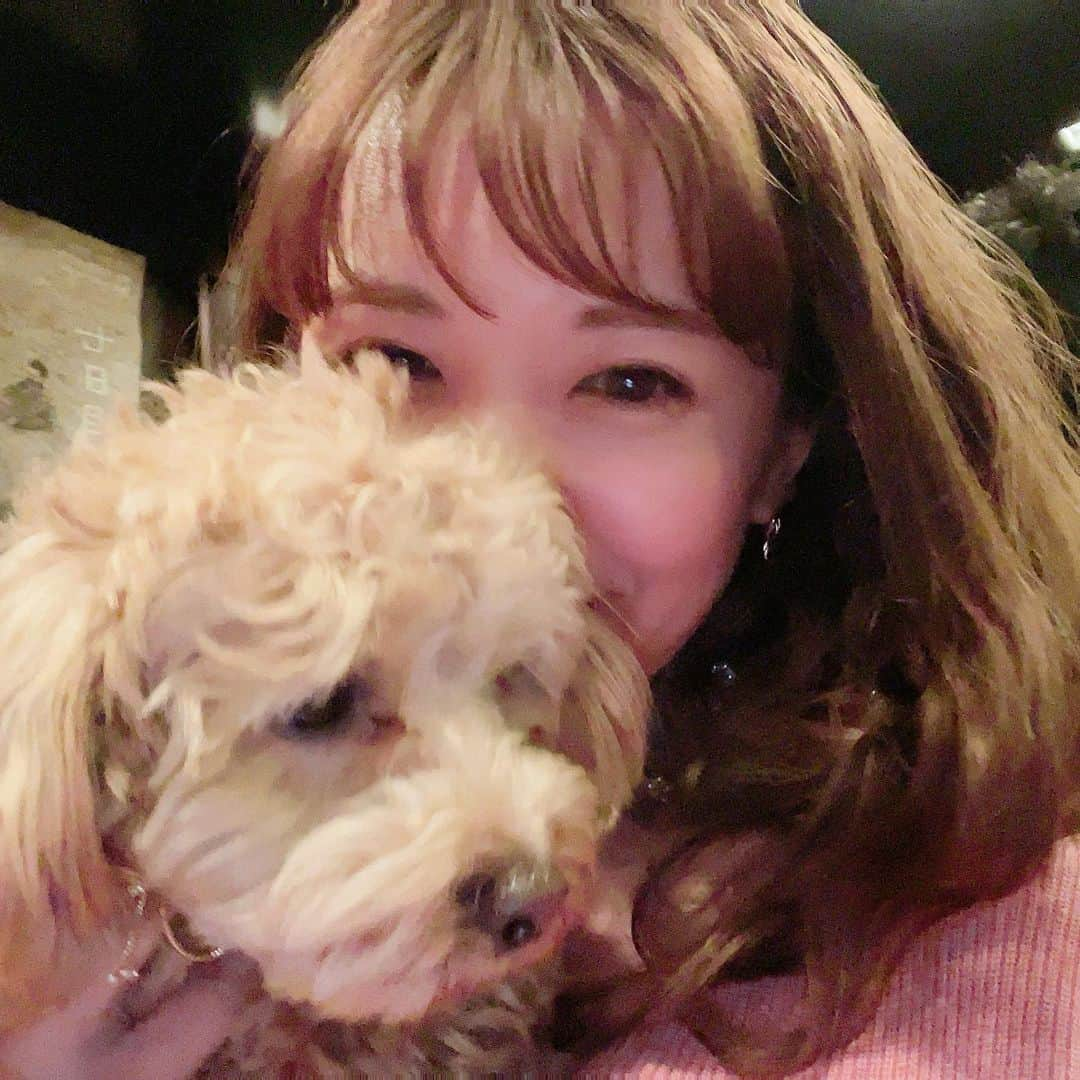 長江愛美さんのインスタグラム写真 - (長江愛美Instagram)「お犬様とお肉様🐶🥩  2ヶ月ぶりくらいに行けた大好きなお店💓 安定の美味しさでした💓  リッツももふもふ出来て、身も心も満たされました☺️  #焼肉 #犬 #まるプー」2月19日 14時57分 - manamin.512