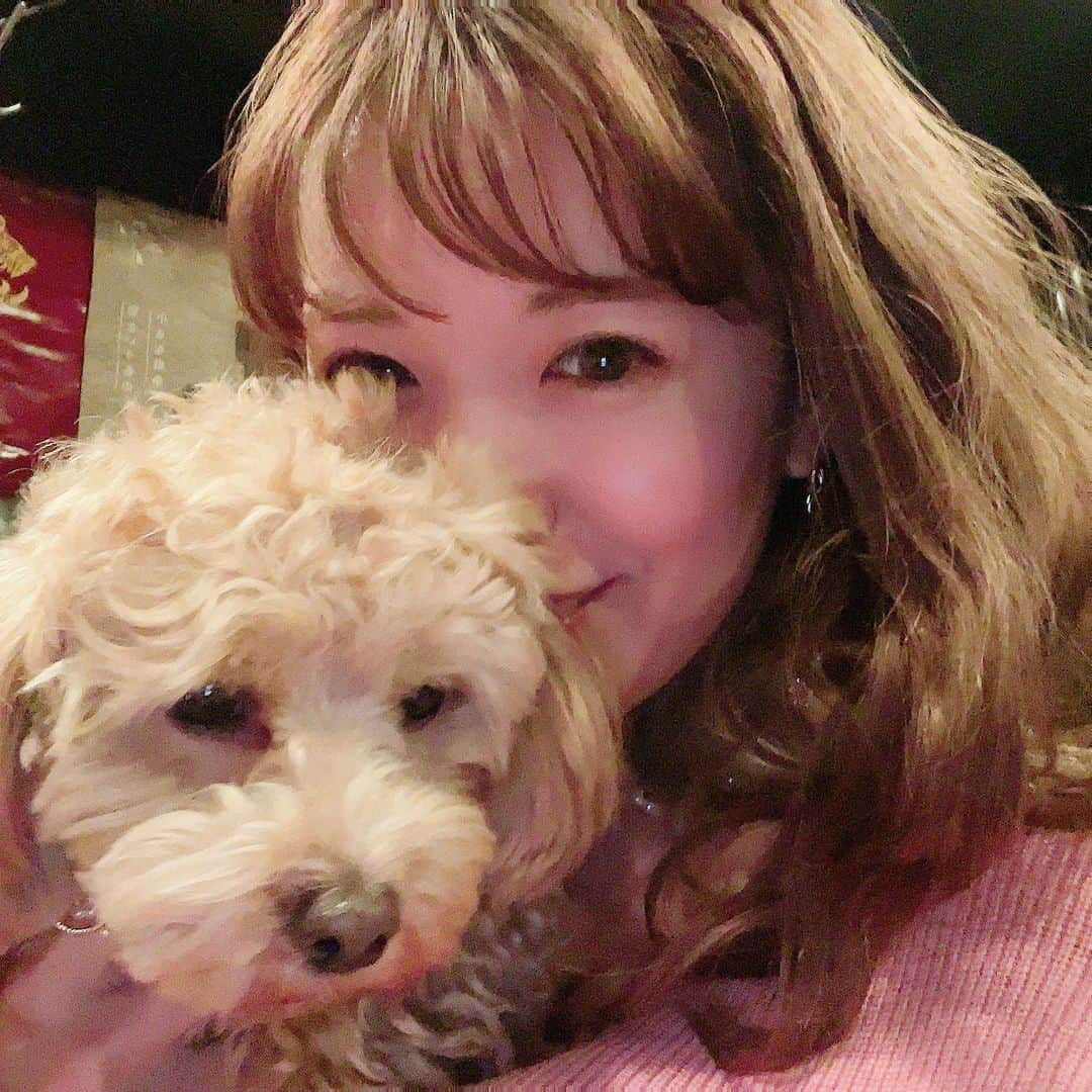 長江愛美さんのインスタグラム写真 - (長江愛美Instagram)「お犬様とお肉様🐶🥩  2ヶ月ぶりくらいに行けた大好きなお店💓 安定の美味しさでした💓  リッツももふもふ出来て、身も心も満たされました☺️  #焼肉 #犬 #まるプー」2月19日 14時57分 - manamin.512