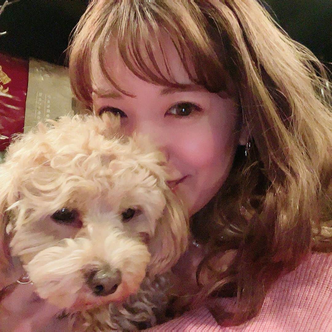 のインスタグラム：「お犬様とお肉様🐶🥩  2ヶ月ぶりくらいに行けた大好きなお店💓 安定の美味しさでした💓  リッツももふもふ出来て、身も心も満たされました☺️  #焼肉 #犬 #まるプー」