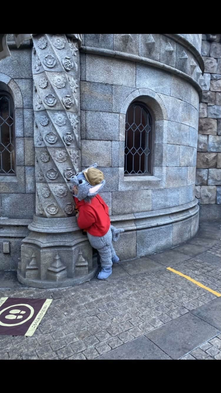 tiahy__のインスタグラム：「The Rescuers 🐀🐁. . . New costume🐀. . . . . . Bianca_taiaも🐁 #bernard_taia#bianca_taia #taiacostume#tokyodisneysea」