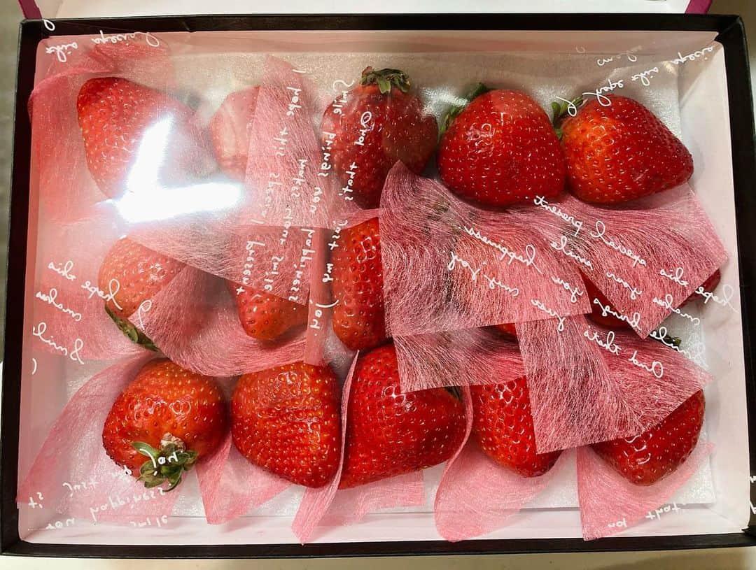 うらさん(南浦芽依)さんのインスタグラム写真 - (うらさん(南浦芽依)Instagram)「・ ・ ・ あまおう🍓 ・ 最近本当に苺が食べたくて 食べたくて……😭 ・ ・ なんとっ！！！！ ・ 高級苺を頂きました✨ ・ ・ 大きいし、 みずみずしいし、 凄く甘くて、 本当にジューシー🍓✨ ・ ・ 15粒すぐ食べちゃう勢い。 ・ ・ ・  #苺 #あまおう#フルーツ #福岡県 #グルメ好きな人と繋がりたい」2月19日 15時14分 - meipon62