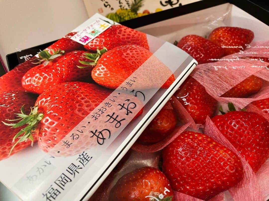 うらさん(南浦芽依)のインスタグラム：「・ ・ ・ あまおう🍓 ・ 最近本当に苺が食べたくて 食べたくて……😭 ・ ・ なんとっ！！！！ ・ 高級苺を頂きました✨ ・ ・ 大きいし、 みずみずしいし、 凄く甘くて、 本当にジューシー🍓✨ ・ ・ 15粒すぐ食べちゃう勢い。 ・ ・ ・  #苺 #あまおう#フルーツ #福岡県 #グルメ好きな人と繋がりたい」