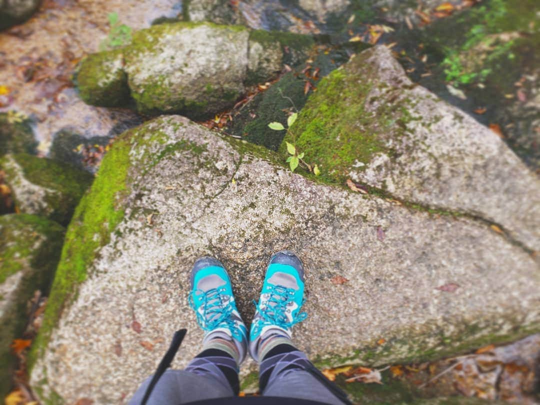 服部ひで子さんのインスタグラム写真 - (服部ひで子Instagram)「御在所に登った時、  足下に、 お山を発見！！！(*´∀｀*)ﾎﾟｯ🌱⛰️🌈  いい感じに 苔が生えてました😂  #登山 #御在所岳 #登山靴   #キャラバン #キャラバンシューズ」2月19日 15時43分 - hideko_hattori