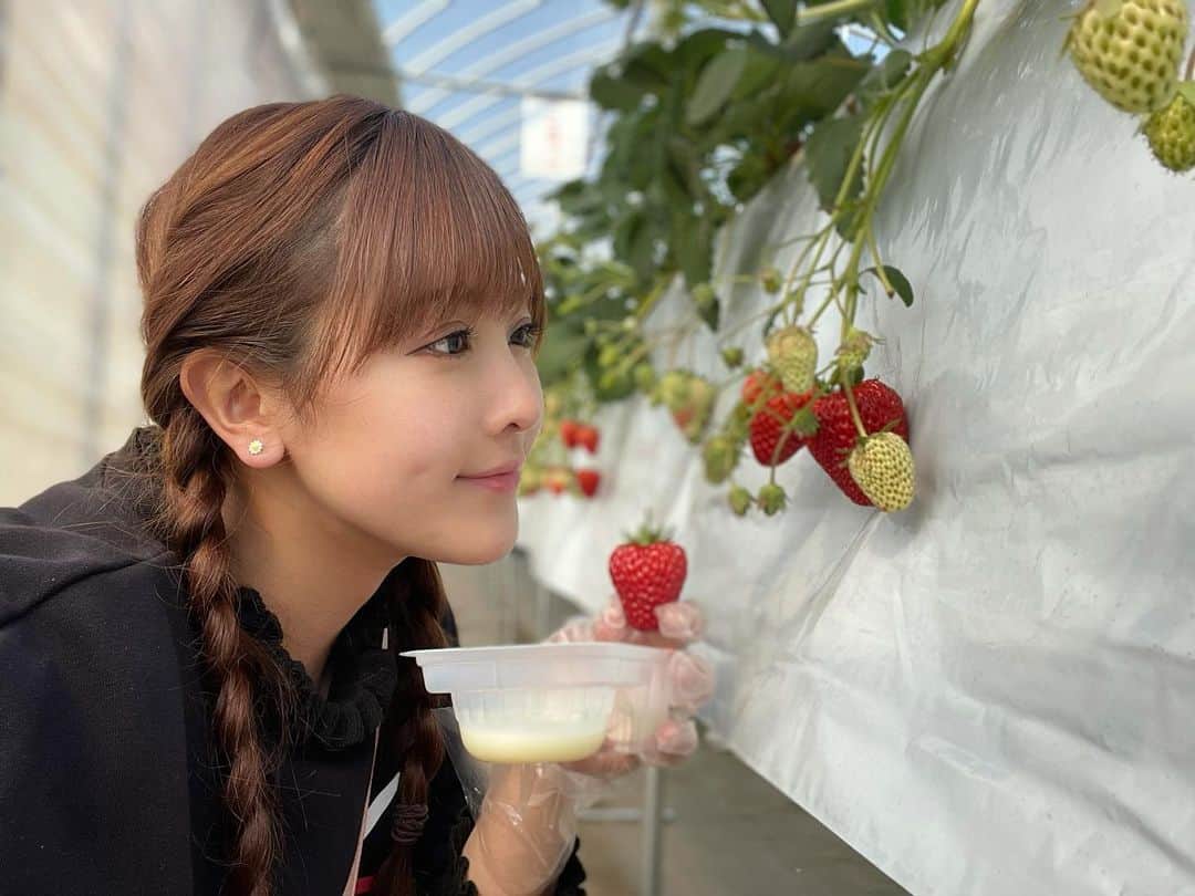 山本ひかるのインスタグラム