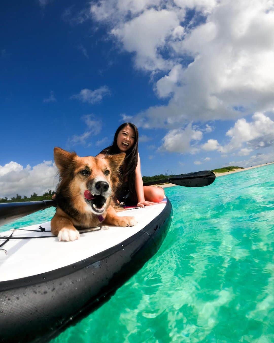 のインスタグラム：「素敵な #SUP パートナーと共に #与那覇前浜 の美しい海でリラックス☺️ 📷 #GoProファミリー @smile_pii + #GoProHERO9 Black 🐶 @mj__miyakoisland   #GoPro #GoProJP #GoProのある生活 #スタンドアップパドル #スタンドアップパドルボード #与那覇前浜ビーチ #宮古島 #沖縄 #Okinawa #MiyakoIsland #yonahamaehamabeach #TravelJapan」