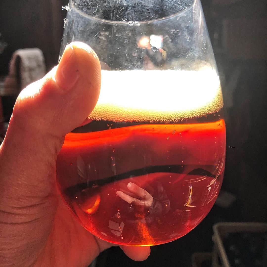 直樹 加藤さんのインスタグラム写真 - (直樹 加藤Instagram)「.. オリオンビールって、スッキリした味わいのビールってイメージでしょ？  限定醸造だけど、桜の花びらを使ったクラフトビール的なのもあります。  その名もオリオンいちばん桜プレミアム。  赤い色合い、複雑に重なり合うハーブのニュアンス。  プレーンなオリオンもいいけど、たまにはこんなテイストもいいよね〜  #大文字屋加藤酒店 #西七条 #梅小路 #町の酒屋 #オリオンビール #オリオンビールいちばん桜」2月19日 16時38分 - daimonjiyakatonaoki