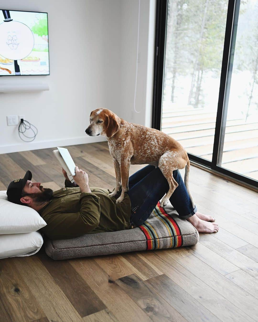 マディさんのインスタグラム写真 - (マディInstagram)「Maddie might be telling me it’s time to get my own couch 🙈 ⁣ ⁣ Also am I the only one that reads with the TV on in the background? I do this bit where I read 1 chapter and then watch the show. Dunno it’s just the life we are living over here ✨」2月20日 3時27分 - thiswildidea