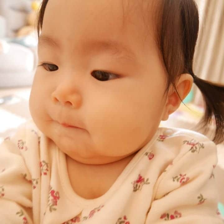 二條満月のインスタグラム：「カメラに興味津々で、アップになりがち📸✨笑 ぷにぷに頬っぺには、夢と希望が詰まってます😘  #1歳 #1月生まれ #女の子ベビー #女の子ママ #成長記録 #赤ちゃんのいる暮らし #赤ちゃんのいる生活 #新米ママ #スマイル育児 #ままのて #ベビフル #ぷにぷにほっぺ #ツインテールアレンジ」