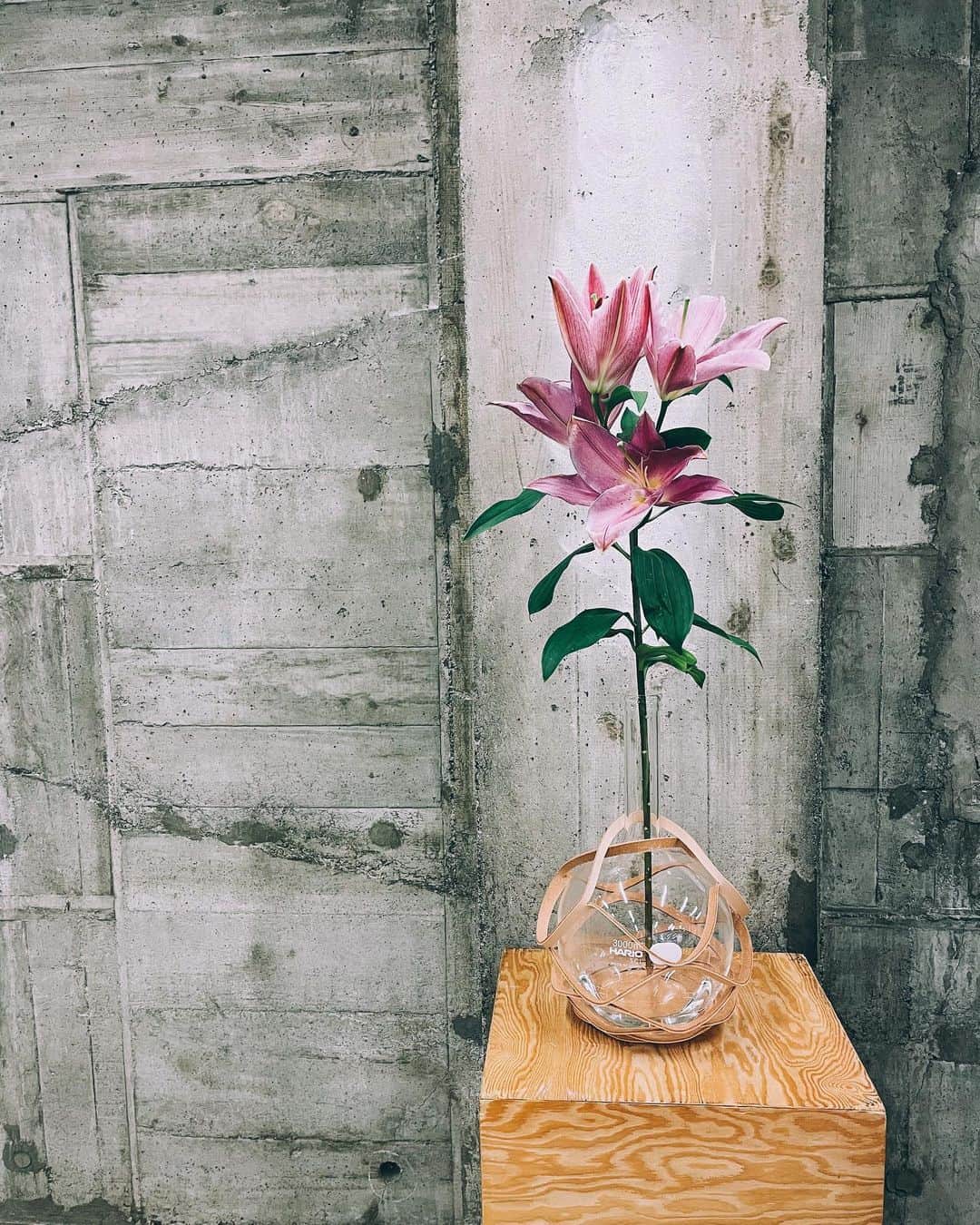 花楓さんのインスタグラム写真 - (花楓Instagram)「デザイナーかっしーの 歴史を知って、 更にこのブランドが好きに なりました。  で、オーダーし過ぎました😑🔥  届くのたのちみ🥺🤍  @henderscheme」2月19日 18時54分 - _caede_