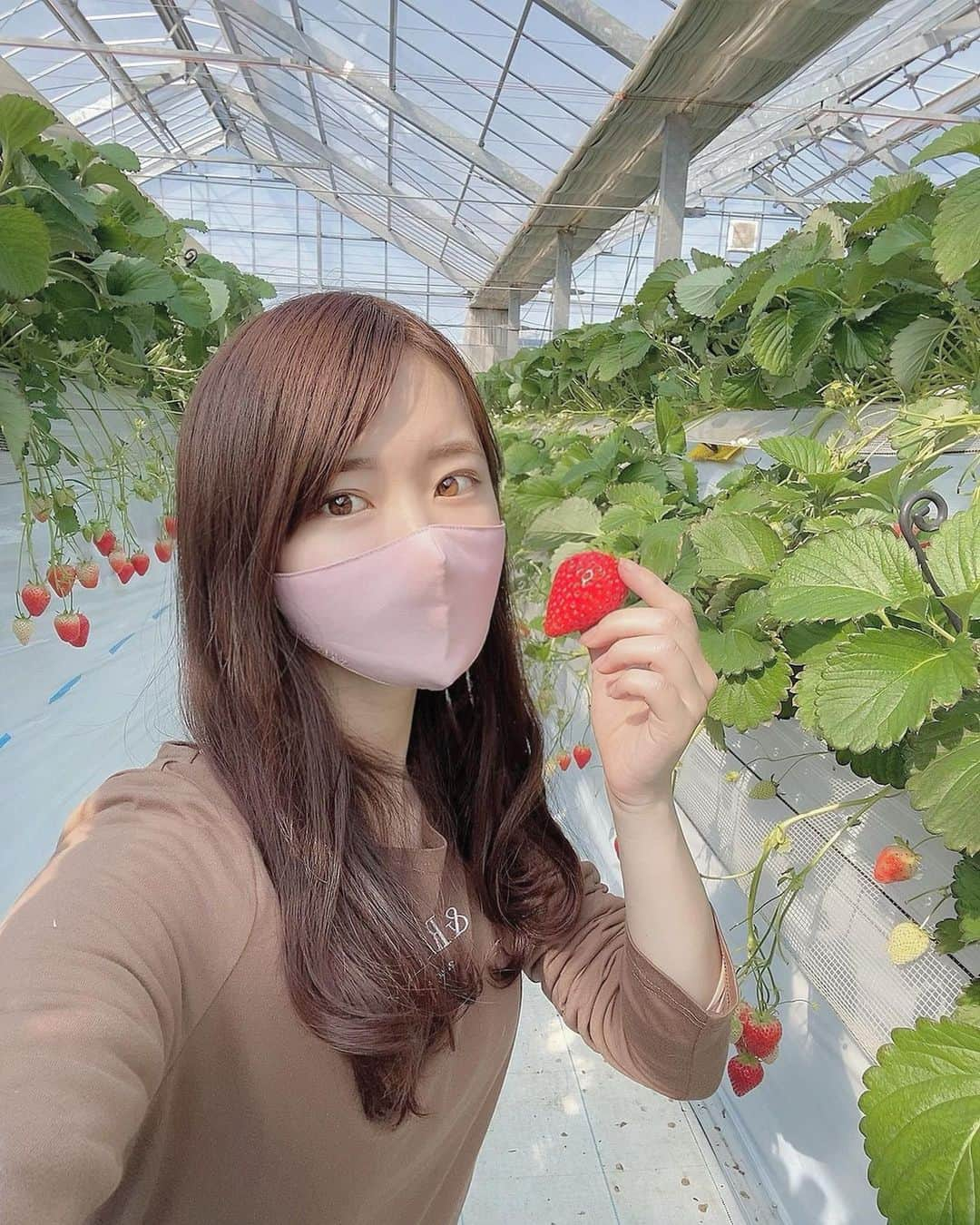 川子芹菜のインスタグラム