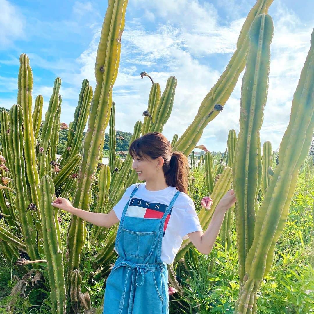 のインスタグラム：「こういう場所で撮影する時とにかく虫が気になる🐝笑  写真撮影の為に大嫌いな虫に囲まれたり体中カメムシだらけになったりした思い出がたくさん😂  #サボテン畑#沖縄旅行#過去pic#旅行好きな人と繋がりたい#沖縄好き#tripgram」