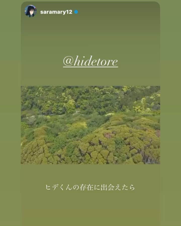 ヒデトレのグルメインスタ