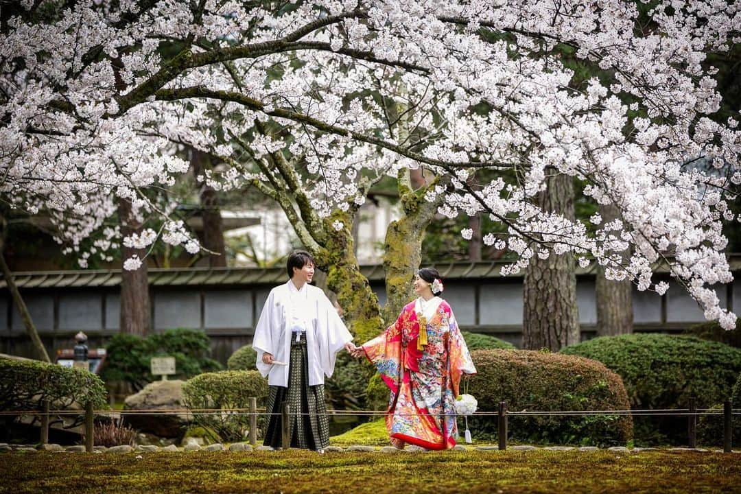 アート工房のインスタグラム：「桜、待ち遠しいので連投します🥺 。 。 。 #金沢神社婚 #兼六園 #ひがし茶屋街 #東茶屋街 #結婚準備 #兼六園前撮り #ひがし茶屋街前撮り #金沢前撮り #金沢フォトウェディング #和装前撮り #富山前撮り #福井前撮り #北陸花嫁 #wedding #神前式 #金沢和婚 #後撮り」