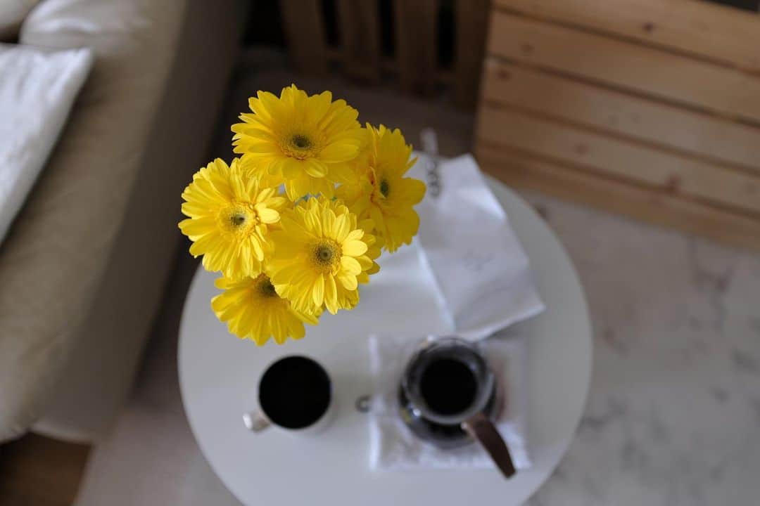 maggydaisyのインスタグラム：「_  デイジーのガーベラが なかなか元気 ⚛︎ ⚛︎ ⚛︎  今週もお疲れさま 早く帰ろう。  #花のある暮らし #coffee #coffeetime」