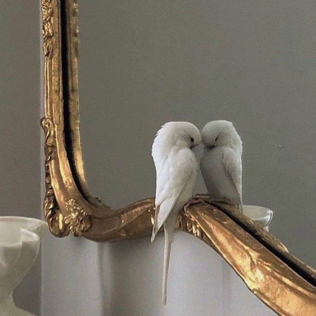 レオナ・ルイスのインスタグラム：「Look in the mirror and tell yourself “I love you” 🤍」