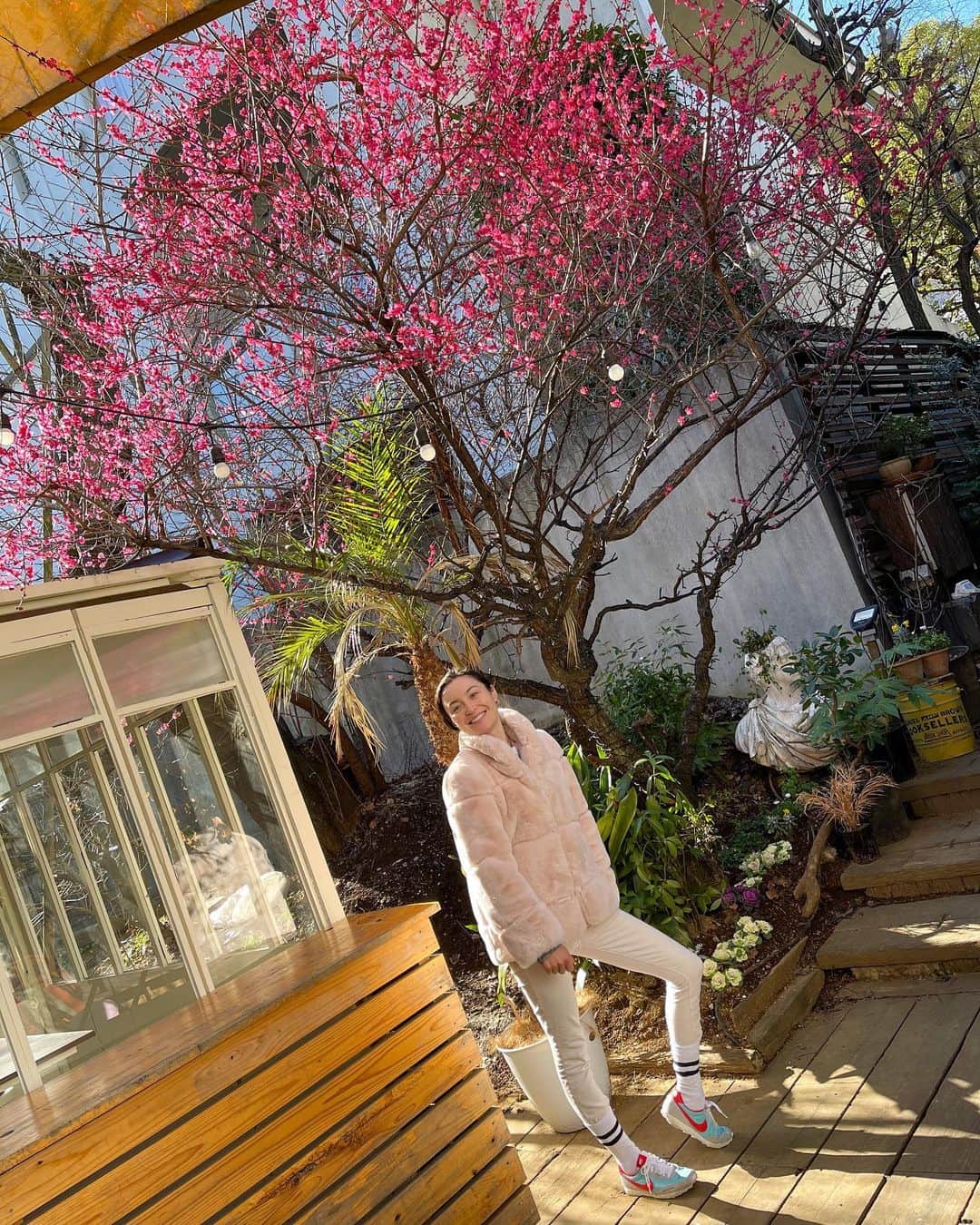 エミ・マイヤーのインスタグラム：「I could smell these flowers down the street! So beautiful 😻 spring is just around the corner 👍甘い香り！今週末も良い天気になりそうで嬉しいね💜」