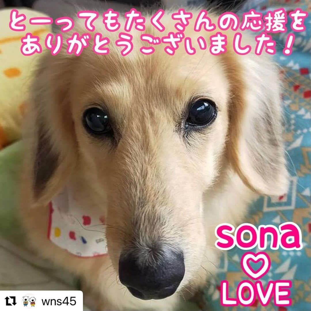 Sora Momoのインスタグラム