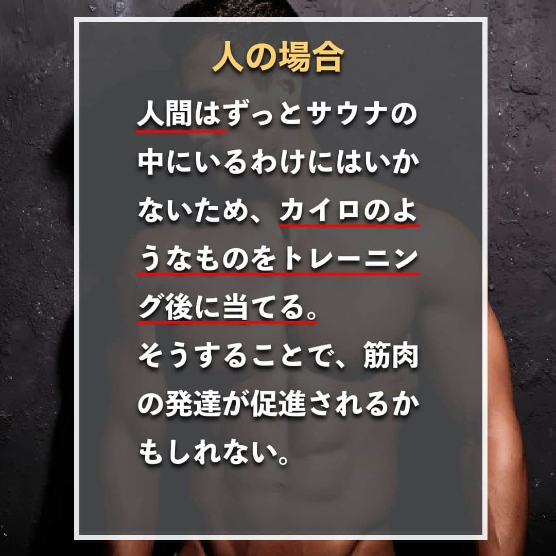 山本義徳さんのインスタグラム写真 - (山本義徳Instagram)「【サウナは筋肉の発達に効果抜群】  サウナは代謝をあげることができるが、 筋肉の発達にも効果的なのだろうか？  今回は、サウナが筋肉の発達に効果があるのかについて解説する。  是非参考になったと思いましたら、フォローいいね 投稿を見返せるように保存していただけたらと思います💪 質問などございましたらコメント欄にお願いいたします💡  #サウナ #サウナ女子 #サウナー #サウナ好きな人と繋がりたい #筋トレ女子 #筋トレダイエット #筋トレ初心者 #筋トレ男子 #ボディビル #筋肉女子 #筋トレ好きと繋がりたい #トレーニング好きと繋がりたい #筋トレ好き #トレーニング男子 #トレーニー女子と繋がりたい #ボディビルダー #筋スタグラム #筋肉男子 #筋肉好き #ダイエット失敗中 #ダイエット失敗 #ダイエット失敗中 #トレーニング大好き #トレーニング初心者 #筋肉トレーニング #エクササイズ女子 #山本義徳 #筋肉増量 #valx筋トレ部 #VALX」2月19日 20時00分 - valx_kintoredaigaku