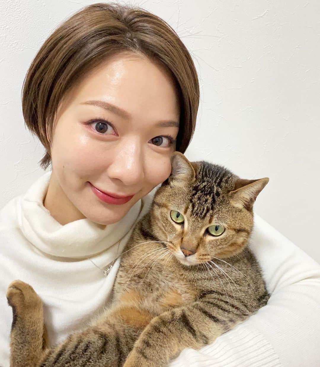井咲アキのインスタグラム：「🐈💚 レオン、この間体重計ったら、 1kgくらい痩せていました！😳😳😳 痩せてるように見えなかったから、 ずっと太ったままだと思ってたよ。 すまん。 ・ ・ ・ #愛猫#猫#レオン#男の子#3才#おデブさん #しっかり食事の量を管理したら痩せてました #痩せてるように見えなかった#ごめんね #可愛い#大好き#みこれおぐらむ#ねこすたぐらむ #catslover#cat#love#leon#micoleogram#catstagram」