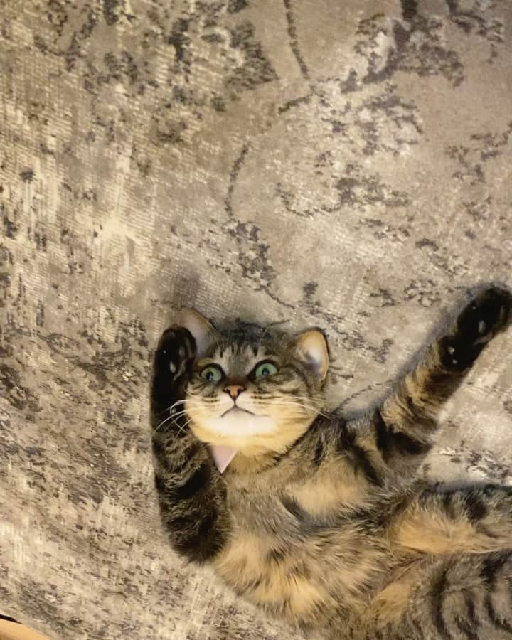 ohshima_moaのインスタグラム