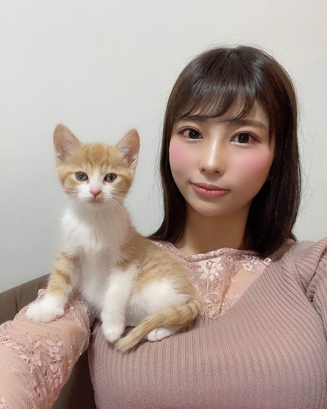 水池愛香さんのインスタグラム写真 - (水池愛香Instagram)「実は胸の上に猫が乗ってます。笑」2月19日 20時29分 - mizuike_aika