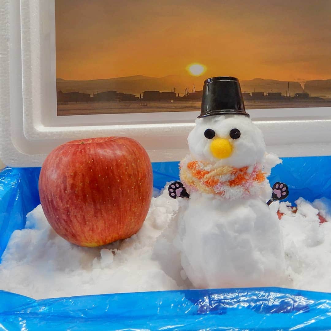 らでぃっしゅぼーやのインスタグラム：「遠出ができなくても、おうちで雪だるま作ろう♪  ただいま、抽選で１０名様に、 りんごの産地・青森県に積もった「雪」と「りんご」が当たる 「雪つき雪室りんご」プレゼントキャンペーンを実施しています！  この企画は、青森県のりんご農家・斉藤篤寿(さいとうあつし)さんの粋な計らいによって実現しました。  「私達は、農家にとって当たり前の雪の中で生活しておりますが、 コロナで遠出できず雪で遊べないお子様がいると伺いました。 りんごと一緒にお届けする雪で、 雪だるまでも小さいかまくらでも好きに作っていただき、 自由な発想で楽しんでいただけると嬉しいです。」  おとなも子どもも、”小さなスノーレジャー”を体験してみませんか？  ＊本投稿画像はイメージです。実際には雪、りんごのお届けとなります。  ＜参加方法＞ ・下記期間中、らでぃっしゅぼーや Instagram公式アカウント （@radishboya1988）をフォローしている方  （らでぃっしゅぼーや会員様以外もご参加いただけます） ・以下２つのハッシュタグをつけて「お好きな野菜、果物、料理」に関して投稿していただいた方 #らでぃっしゅぼーや　#雪室りんごキャンペーン  ＜募集期間＞　⁣2021年2月15日(月)～3月3日(水）  ＜賞品＞⁣　らでぃっしゅぼーや雪室りんご（ふじ）（6個+雪）  ＜当選者数＞⁣　⁣10名様⁣  ＜当選者様へのご連絡＞⁣⁣ 当選者の⽅には2021年3⽉8⽇(月)頃に Instagram上のDMにてご連絡致します。⁣DMを受け取れる設定への変更をお願いいたします。  ＜ご注意＞⁣ ＊同一の応募者様から複数アカウントを使用しての応募を確認した場合、1アカウントの応募のみを有効とみなし、それ以外の応募は無効といたします。 ⁣ ＊抽選時に、アカウントフォローの状態を維持いただいていることが確認できない場合、抽選の対象から外れることがあります。 ⁣ ＊本キャンペーンは予告なく中止または変更させていただく場合がございます。 ⁣ ⁣＊応募受付の確認・抽選方法・当選・落選・配送時の事故や破損等についてのご質問、お問い合わせは受け付けておりません。⁠⁣ ⁣ ＊日本国外にお住まいの方に対しては、当選しても配送できません。国内にお住まいのフォロワー様限定のキャンペーンです。⁣ ＊未成年者の方は、親権者に同意いただいたものとみなします。 ＊再抽選は行いません。 ⁣ ⁣＊アカウントを非公開設定にしている場合は抽選対象外となります。⁣ ⁣ ＊下記に当てはまる場合、ご当選の資格は無効となります。 ⁣ ⁣・応募に際し、不正行為があったと当社が判断した場合⁣ ⁣ ・通信環境の良くない状態にありDMが不着となった場合⁣ ⁣ ・ご当選通知のDMに対し返信期限までに手続きを履行いただけない場合 ⁣ ⁣・登録内容に不備があった場合⁣・住所/転居先不明または長期不在などにより、賞品がお届けできなかった場合 ⁣ ⁣＊賞品の返品・交換・配送業者より弊社に返品されてからの再配送、はできませんのでご了承くださいませ。⁣ ⁣ ＊賞品発送後の賞品による損害等の責任については、弊社は一切負いかねます。予めご了承ください。⁣ ⁣ ＊賞品の転売は禁止させていただきます。 ⁣ ⁣＊賞品の発送は2021年3月下旬を予定しております。⁣ ⁣ ＊やむを得ない事情などにより、賞品の発送時期は変更となる場合がございます。⁣ ⁣ ＊本キャンペーン参加にあたって生じるインターネット接続料や通信料、ご当選通知メールに記載の手続を履践するにあたって生じる諸費用は、ご本人様の負担となります。  #らでぃっしゅぼーや　#有機野菜　#野菜宅配 #雪室りんごキャンペーン  #雪だるま作ろう　#雪だるま　#雪室　#雪室りんご　#生産者さんありがとう　#農家さんありがとう」