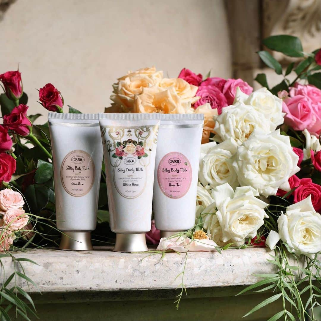 SABON Japanさんのインスタグラム写真 - (SABON JapanInstagram)「＜数量限定発売 王妃の庭に咲き誇る3種のローズの香り＞ 赤や白、ピンク…秘密の庭に咲き誇る色鮮やかなローズの中であなただけのお気に入りのローズがきっと見つかるはず。 みなさんはどのローズの香りがお好みですか？  ＜数量限定登場 ホワイト・ローズ＞ 王妃の庭に咲く、柔らかく優美な香り。 フレッシュなベルガモットと柔らかなホワイト・ローズ、 ジャスミンが奏でるエレガントな香り。 神聖なムスクが高貴なエッセンスを加え、秘密めいた花園へと誘います。  ＜豊かな緑と自然を感じる、透明感あふれるグリーン・ローズ＞ 新鮮なグリーン・ローズが放つ、透明感あふれる聡明な香り。 豊かな緑とみずみずしい花々に満たされる、 夢のようなひとときを演出します。  ＜バラの紅茶から立ち上る、温かく柔らかなローズティー＞ "バラの紅茶"から立ち上がる、柔らかく包み込むようなフルーティーローズの香り。 淡くピンクがかった紅茶から立ち上る、 ほんのり甘く芳醇な香りが心の隅々まで温かく満たしてくれます。  #SABONRoseFestival #ホワイトローズの香り ﻿ #sabon#ホワイトローズ#SABONのホワイトローズ#bodycare#whiterose#spring#サボン#フレグランス#SABONボディスクラブ#SABONギフト#香り#グリーンローズ#春コスメ#コスメ#ローズティー#SABONの香り#サボンの香り#ボディケア#透明感#秘密の花園#SABONのスクラブ#ボディスクラブ#香り#ローズの香り#フレグランス#ローズ#Rose#ガーデン」2月19日 20時42分 - sabon_japan