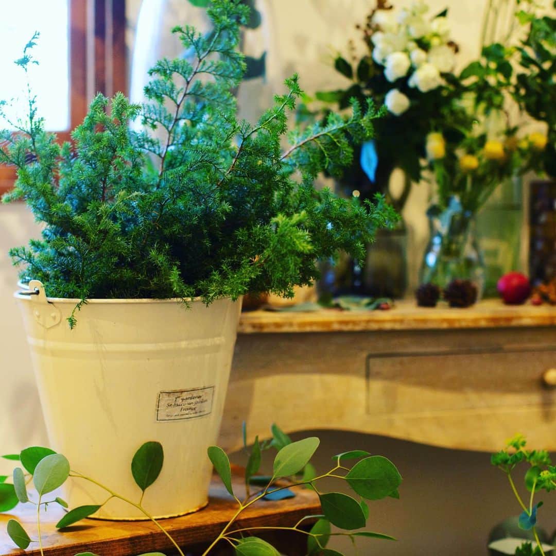 The Sally Garden（ザ サリィガーデン）さんのインスタグラム写真 - (The Sally Garden（ザ サリィガーデン）Instagram)「. . #weddingconcept は #green 🌿 . #テーマカラー を決めると #コーディネート も統一感をもって つくりあげることができます◎ . #ウェルカムコーナー を進むと 手作りの#エスコートクリップ　がお出迎え #シーティングチャート を見ながら ご自身の名前を見つけるのも一つの楽しみ✨ . . #ザサリィガーデン #thesallygarden #会場コーディネート #ウェルカムスペース装飾 #ウェルカムアイテム #ウェルカムスペース #花嫁準備日記 #栃木花嫁 #プレ花嫁 #プレ花嫁準備 #フラワーコーディネート #グリーンのある暮らし #プラコレ #プラコレwedding #dressy花嫁 #ゼクシィ2021 #ゼクシィ花嫁　#エスコートカード」2月19日 20時55分 - the_sally_garden