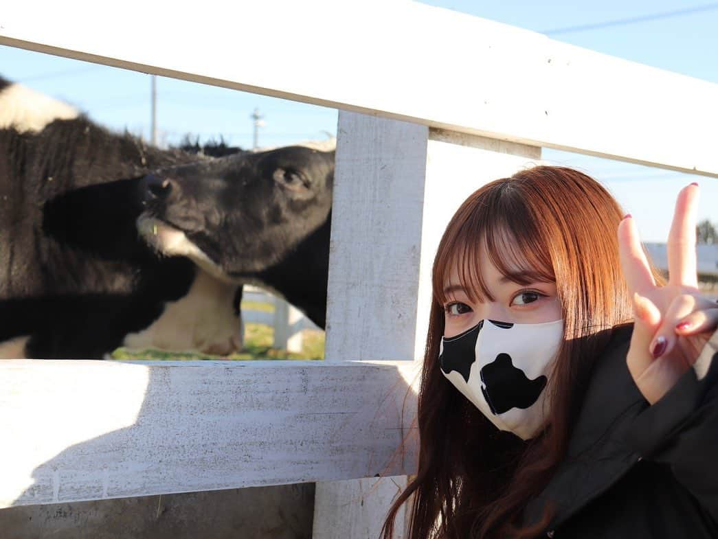 日下部愛菜さんのインスタグラム写真 - (日下部愛菜Instagram)「🐮  Twitterに載せたものをこちらにも！ うしとくさかべ。  #2021 #丑年」2月19日 20時48分 - aina_kusakabe