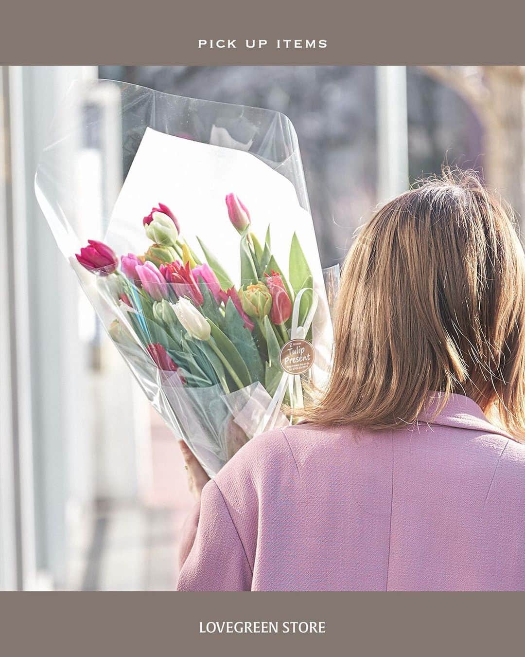 LOVEGREEN -植物と暮らしを豊かに。さんのインスタグラム写真 - (LOVEGREEN -植物と暮らしを豊かに。Instagram)「「思いやり」をプレゼントに 本数が選べるチューリップの花束が販売開始です。  -------------------------------  春がだんだんと近づいてきましたね。 卒業式や入学式など大切な行事が増える時期です。  「おめでとう」 「ありがとう」 気持ちを込めてチューリップの花束を送ってみませんか？  春の花といえば真っ先に思い浮かべる方も多いチューリップ。 様々な色や咲き方、可愛らしいフォルムで人気のお花です。 気持ちを明るくしてくれる華やかさと、 「思いやり」の花言葉を持つチューリップは贈り物にぴったり。  シーンに合わせて本数が選べる３種類の花束を用意しました。  本数は15本、25本、50本。  15本はカジュアルなプレゼントに。 誕生日や、普段お世話になっている方へのちょっとした贈り物にちょうどいい本数です。  25本は節目のお祝いに。 卒業式や入学式などの大切な行事は、本数多めで明るい雰囲気の花束がぴったり。 しっかりとしたボリューム感がお祝いごとに最適です。  50本はここぞという時に。 圧巻のボリュームで、めいいっぱい気持ちを伝えられる花束です。大切な記念日の贈り物にいかがでしょうか。 シェアすることもできるので、グループでのお祝いにもおすすめ。  生産地から直送なので鮮度も安心です。 3月末までご注文いただけます。  想いを込めたチューリップの花束、送ってみませんか？  プロフィールのリンクからも、お値段やサイズなど詳しい情報がご覧いただけます。 → @lovegreen_official  #チューリップ #春の花 #花束 #花束ギフト #ギフト #贈り物 #プレゼント #誕生日プレゼント #卒業式 #入学式 #記念日 #tulip #bouquet #present #anniversary #gift #花言葉 #思いやり」2月19日 21時00分 - lovegreen_official