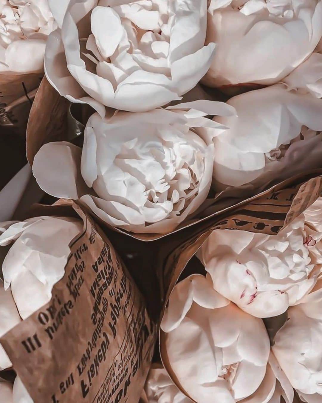 Yukicoさんのインスタグラム写真 - (YukicoInstagram)「𓆱𓆸𓆹𓆺 ℎ𝑎𝑝𝑝𝑦 𝑤𝑒𝑒𝑘𝑒𝑛𝑑🙌🏻  ————————————————————— 見てくださる方にプラスになる投稿をしていきます 是非いいね♡フォロー♡ よろしくお願いいたします𓅟 私の写真の編集については フォトレッスンでレクチャーをしています —————————————————————  #storyofmylife#flowers#flowerporn#flowerslovers#flowerstyles#floweroflife#flower_perfection#flowerstagram#flowerporn#still_life_gallery#floweroftheday#littlethings#livethelittlethings#tv_living#f52grams#f52home#gatheringslikethese#feedfeed#simplepleasures#momentslikethese#blooms#flowertalking#bouquet#bouquets#flowerpower#thatsdarling#nothingsordinary#花のある暮らし」2月19日 21時01分 - yukicolifecom