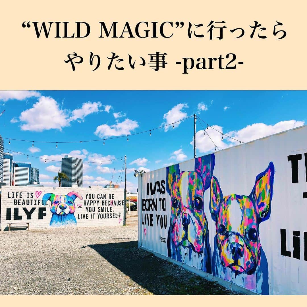 WEDDING CIRCUS オリジナルウェディングさんのインスタグラム写真 - (WEDDING CIRCUS オリジナルウェディングInstagram)「・ ・ WILD MAGICにある沢山のフォトスポット。  東京をベースに日本各地やNYなどで 個展や合同展で作品を発表している ドッグアーティスト EIJI TAMURA(@eiji_tamura)さんにより描かれた 見ているだけでhappyな気分になる POPなウォールアートたち。  カラフルなドッグアートは、 本来動物が持っている無償の愛や 豊かな表情がとても鮮やかに見えるのを、 キャンバスにそのまま描いているそうです。  至るところにあるフォトスポットと、 WILD MAGIC内に光る 温かなネオンライトの文字もぜひ チェックしてみてください。  -LOVE KINGDOM-  ＜ADDRESS＞ 東京都江東区豊洲6-1-23 (新豊洲駅より徒歩5分)  #オリジナルウェディング #originalwedding  #ウェディング #ナチュラルウェディング #結婚式会場 #結婚式 #貸切ウェディング #結婚式準備 #プレ花嫁  #卒花嫁 #プレ花嫁レポ #プレ花嫁準備 #卒花嫁レポ  #結婚式装花 #コンセプトウェディング  #ブライダルフェア #ウェディングフェア  #海外風ウェディング #カジュアルウェディング  #ウェディングレポート #weddingに自由を  #アウトドアウェディング #アートウォール #アート  #フォトスペース #東京フォトスポット#都内BBQ  #手ぶらでBBQ #グランピング #キャンプ」2月19日 21時07分 - wedding_circus