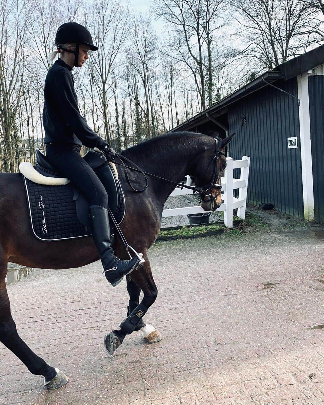マリヤン・ジョンクマンのインスタグラム：「❤️❤️❤️❤️❤️❤️❤️🐴」