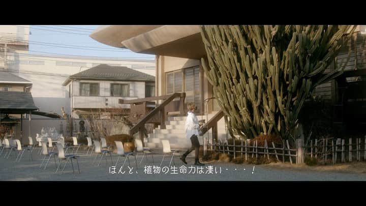 Hikaru Nakamuraのインスタグラム：「Youtube更新しました▶️  今回はオールドレンズ+デジカメ企画📸  チャンネル名:ひかるーく  #フィルムカメラ#オールドレンズ#ミラーレス#ライカ#ソニー#ストリートスナップ#一眼レフ#leica#sony#sonya7#sonya7rii#streetsnap#植物#サボテン#湘南#平塚#hiratsukagood」