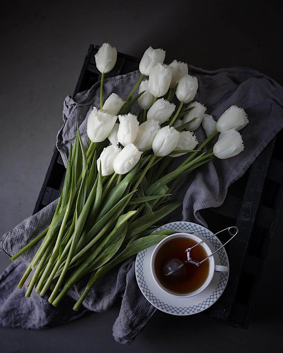 増田由希子さんのインスタグラム写真 - (増田由希子Instagram)「White tulips 🤍 #tulip #tulips #whiteflowers #springflowers #チューリップ フリンジ咲きのチューリップ。名前は、ハネムーン。」2月19日 21時22分 - nonihana_