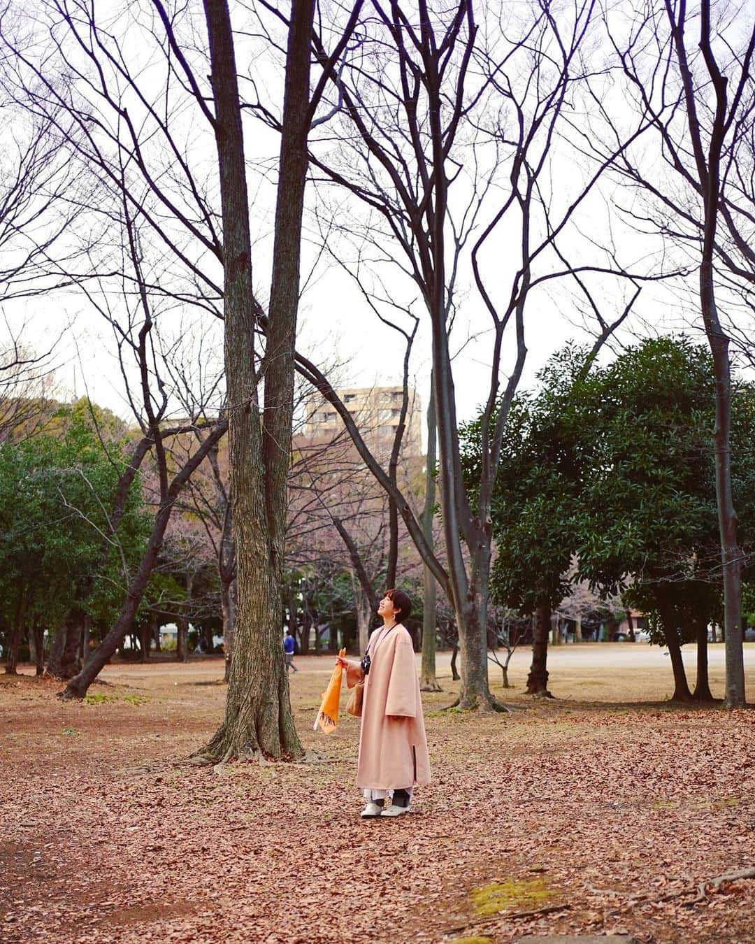 片山陽加さんのインスタグラム写真 - (片山陽加Instagram)「自然カンジテル  #公園 #散歩 #チル」2月19日 21時19分 - haachandyoo